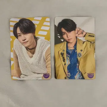 timelesz 트레이딩 카드 하시모토 쇼세이 하라 요시타카