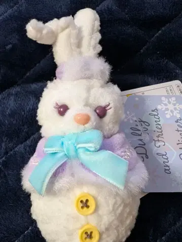 스텔라루 스노위데이의 시크릿 참