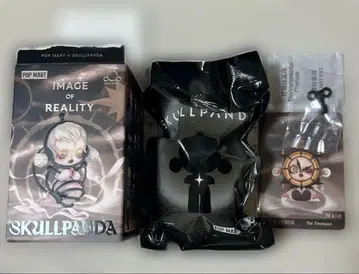 SKULLPANDA 스컬팬더 Image of Reality