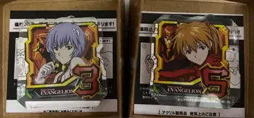 에바 코롯토 코롯타 코로토