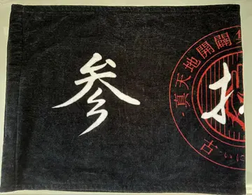 신 천지 개벽 집단 지그재그 고정 타월