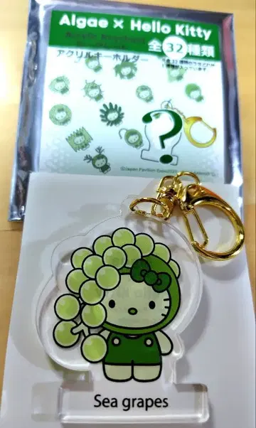 [ 박람회 2025 ] 일본관 키티 아크릴 키링 덩굴