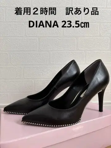 다이애나 스틸레토 하이힐 블랙 23.5cm