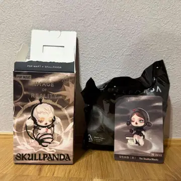 SKULLPANDA Image of Reality