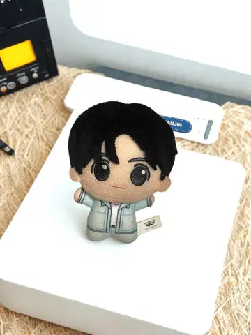 TWS SD 인형 HANJIN 한진 남코 한정판