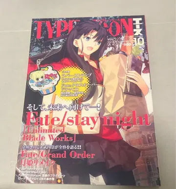 TYPE-MOON 타입문 에이스 10 Fate