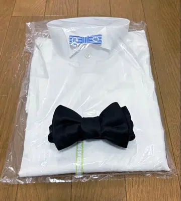 [ 트리트 드레싱 ] 신랑 포멀 셔츠 나비 넥타이 세트