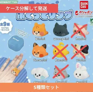 zeroni   반지 5종 가챠