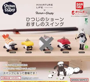 숀더쉽 초밥 스윙 4개