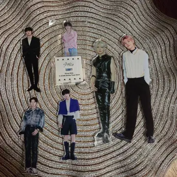 StrayKids 아이엔 아크릴 스탠드 묶음 판매