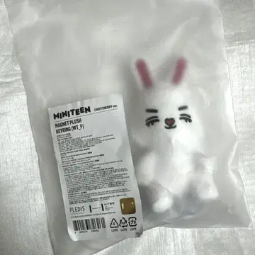 SEVENTEEN MINITEEN 체리 마그넷 키링