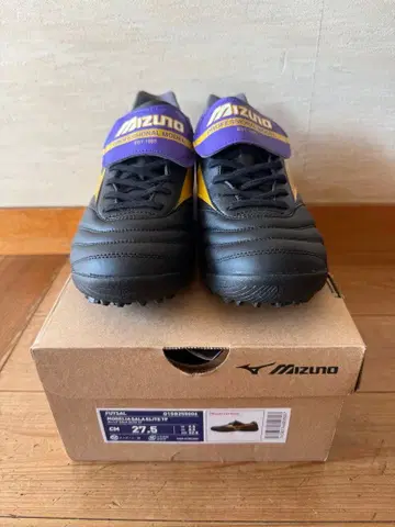 최종 가격 인하 모렐리아 SALA ELITE TF