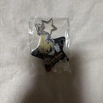 히로아카 바쿠고 카츠키 아오야마 군의 모두 반짝여 라메 키링 1개