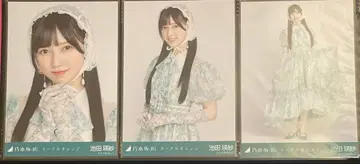 이케다 에이샤 컴프 네이블 오렌지