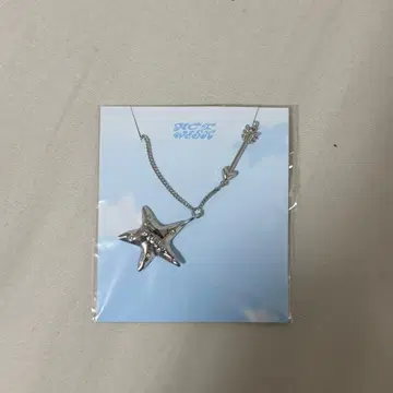 nct wish Steady 목걸이 MD WISH