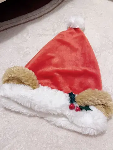 디즈니 더피 산타 모자