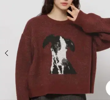 niko and - DOG 모듬 니트 풀오버