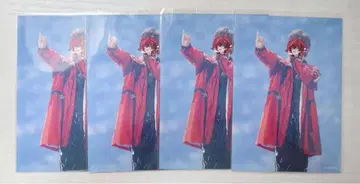 expo 란브로 로제 4장 세트