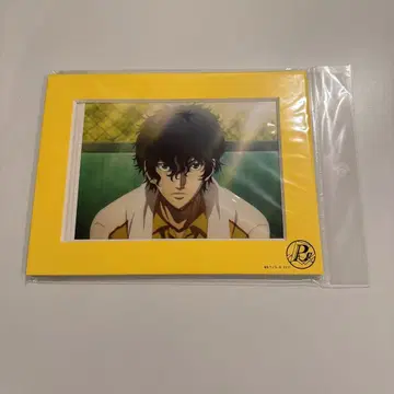 미사용 새상품 신 테니스의 왕자님 키리하라 아카야 2L 캐릭터 파인 매트