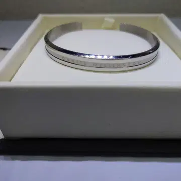 DANIEL WELLINGTON 실버 뱅글