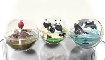 어드벤처 월드 카프리움 팬더 하마 돌고래 피규어 세트