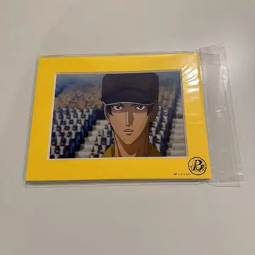 미사용 새상품 신 테니스의 왕자님 사나다 겐이치로 2L 캐릭터 파인 매트