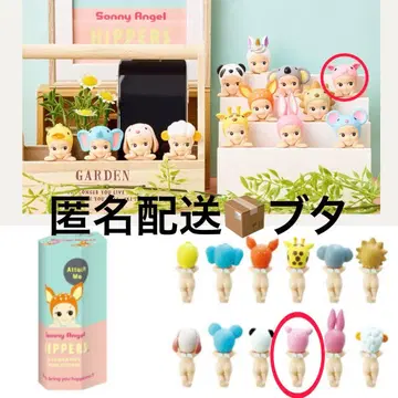 히퍼스 소니 엔젤 돼지