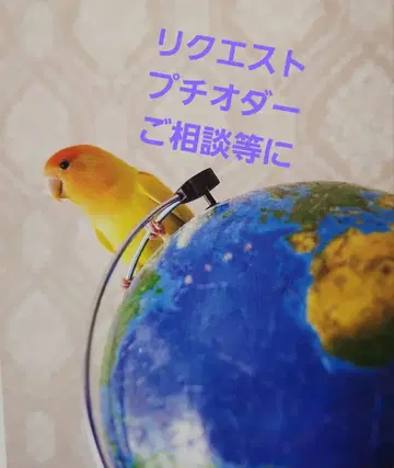 리퀘스트 푸치오더 상담 등