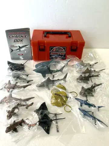 카롤라타 샤크BOX 상어와 가오리 입체 피규어 도감