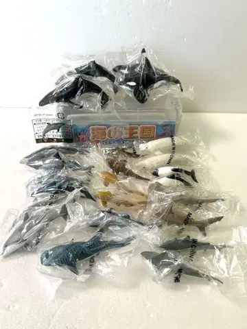 칼라라타 바다의 왕국 돌고래 고래 상어 피규어 입체 도감