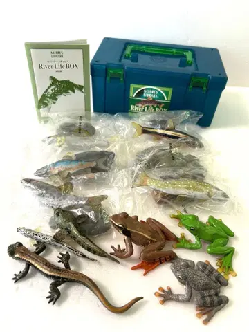 카롤라타 리버 라이프 박스 담수어와 양서류의 입체 도감