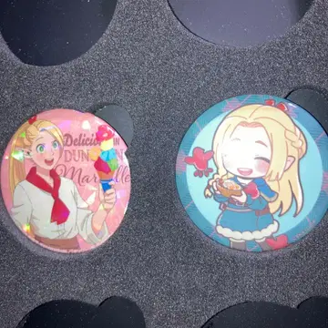 던전밥 마르실 캔뱃지 세트