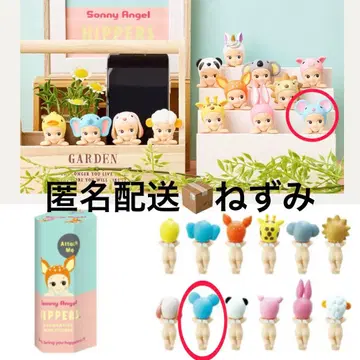 히퍼스 소니 엔젤 쥐