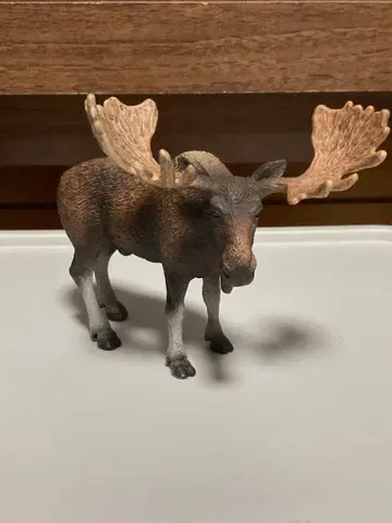 슐라이히 헤라지카 수컷