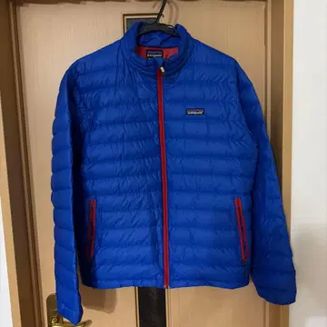 Patagonia 다운 자켓 파랑