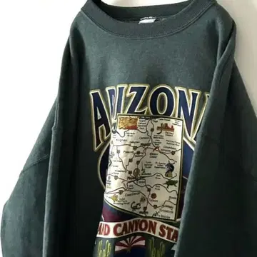 저지즈 애리조나 트레이닝복 맨투맨 XL 그린 구제 의류