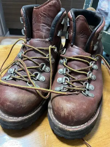 Danner 마운틴 라이트 고어텍스