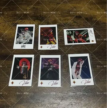 KnightX  포토 카드