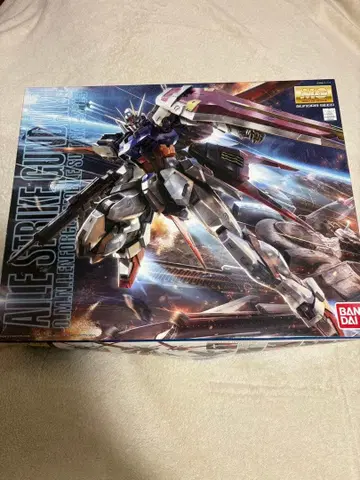 MG 에일 스트라이크 건담 Ver.RM 1/100