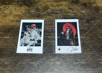 KnightX 바우 포토 카드 3