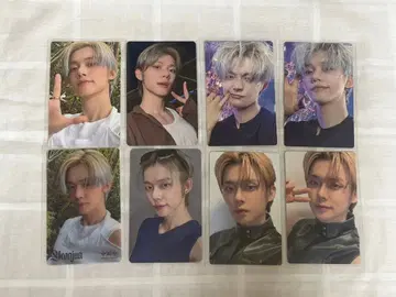 영준 트레이딩 카드 세트 starkissed