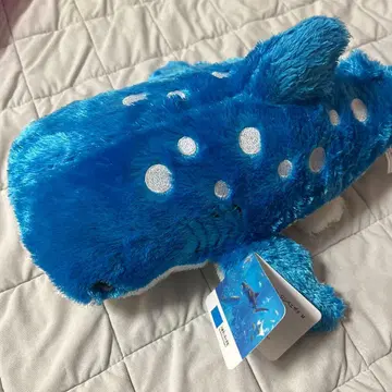 추라우미 수족관 진베이 상어 봉제 인형 M 사이즈