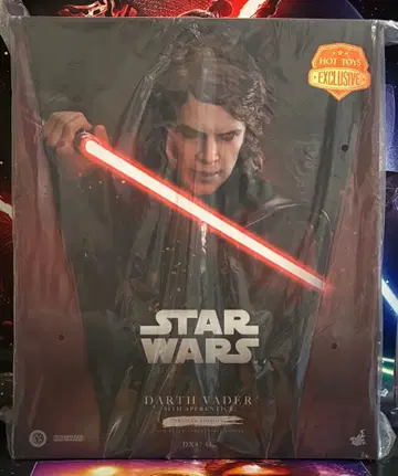 핫토이즈 아나킨 스카이워커 스케일 피규어