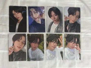 범규 트레이딩 카드 starkissed