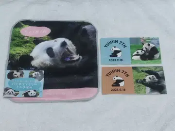 어드벤처 월드 유이힌 미니 타월 스티커