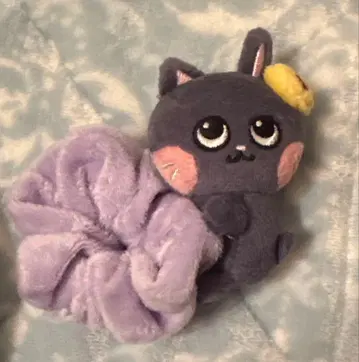 RIIZE 라이즈 원빈 냥냥 스크런치