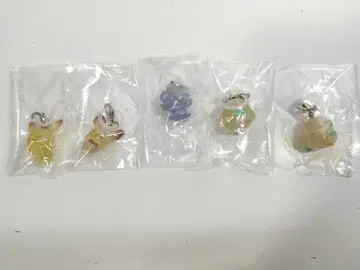 포켓피스 포켓몬 메지루시 액세서리 세미 컴프