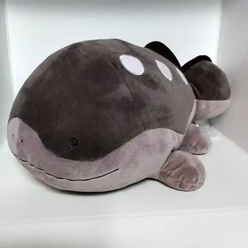 포켓몬 메챠모후굿토 봉제 인형 도오 익명 배송