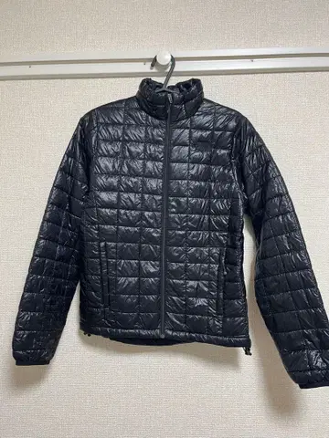 THE NORTH FACE 블랙 다운 자켓