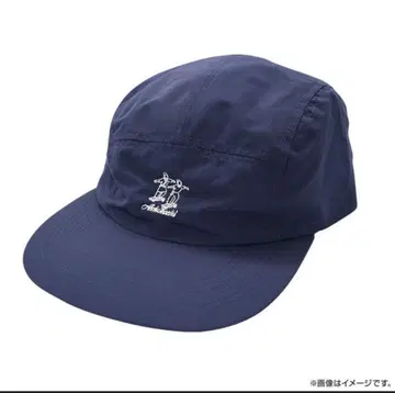 아치코치 오드리 제츠캡